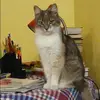 Отзыв от Ксения Верещагина